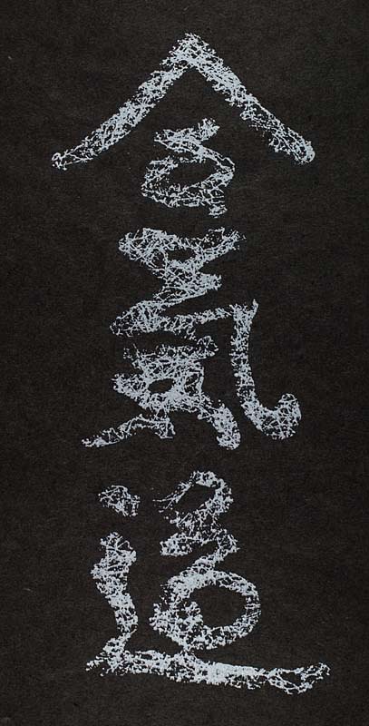 Aikido Webbed Kanji Screenprint (Silver on Black)